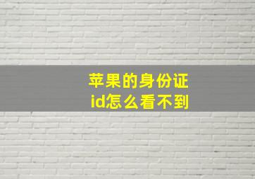 苹果的身份证id怎么看不到