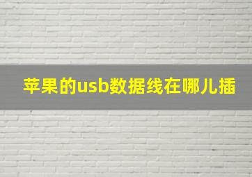 苹果的usb数据线在哪儿插