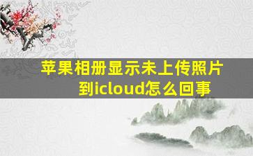 苹果相册显示未上传照片到icloud怎么回事