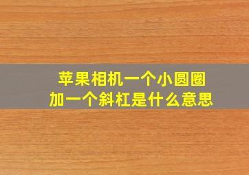 苹果相机一个小圆圈加一个斜杠是什么意思