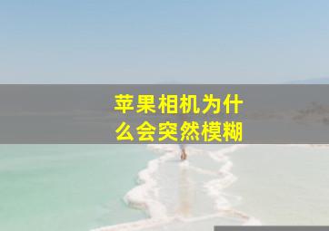 苹果相机为什么会突然模糊