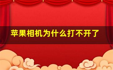 苹果相机为什么打不开了