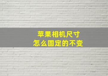 苹果相机尺寸怎么固定的不变