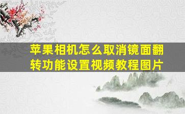 苹果相机怎么取消镜面翻转功能设置视频教程图片