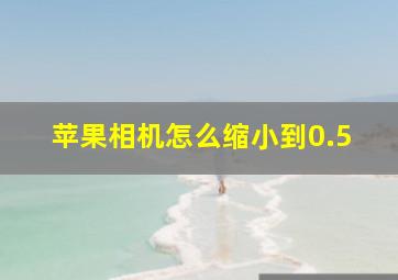 苹果相机怎么缩小到0.5