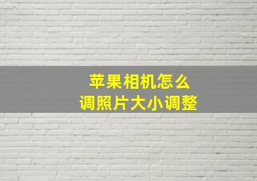 苹果相机怎么调照片大小调整