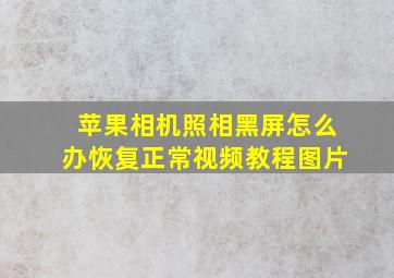 苹果相机照相黑屏怎么办恢复正常视频教程图片