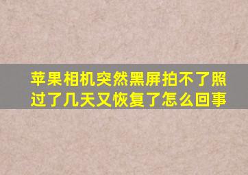 苹果相机突然黑屏拍不了照过了几天又恢复了怎么回事