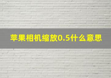 苹果相机缩放0.5什么意思