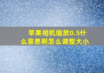 苹果相机缩放0.5什么意思啊怎么调整大小