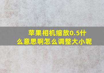 苹果相机缩放0.5什么意思啊怎么调整大小呢