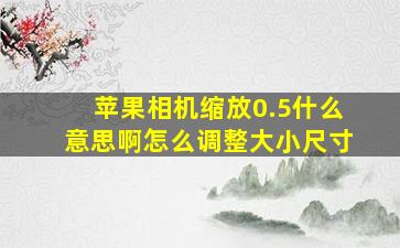 苹果相机缩放0.5什么意思啊怎么调整大小尺寸