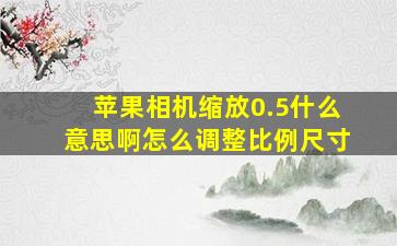 苹果相机缩放0.5什么意思啊怎么调整比例尺寸