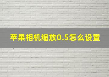 苹果相机缩放0.5怎么设置