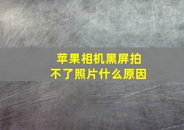 苹果相机黑屏拍不了照片什么原因