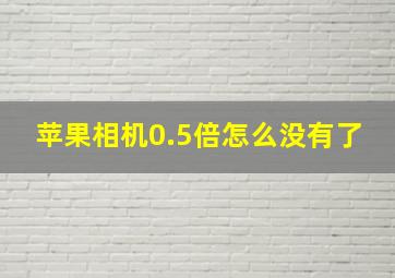 苹果相机0.5倍怎么没有了