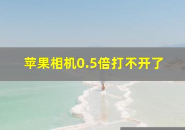 苹果相机0.5倍打不开了