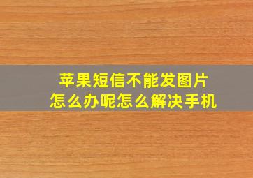 苹果短信不能发图片怎么办呢怎么解决手机