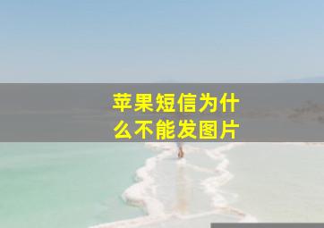 苹果短信为什么不能发图片