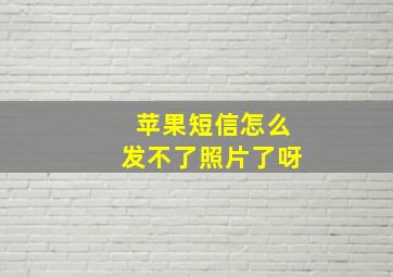 苹果短信怎么发不了照片了呀