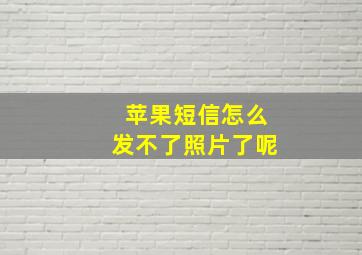 苹果短信怎么发不了照片了呢