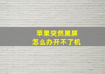 苹果突然黑屏怎么办开不了机