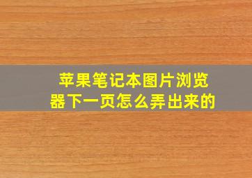 苹果笔记本图片浏览器下一页怎么弄出来的