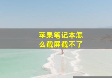 苹果笔记本怎么截屏截不了