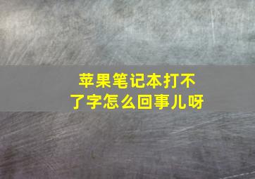 苹果笔记本打不了字怎么回事儿呀