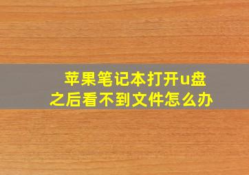 苹果笔记本打开u盘之后看不到文件怎么办