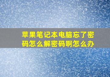 苹果笔记本电脑忘了密码怎么解密码啊怎么办