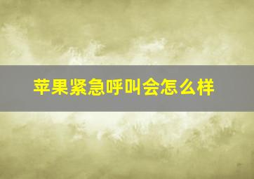 苹果紧急呼叫会怎么样