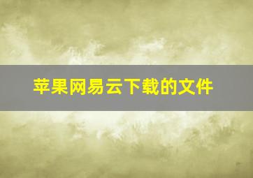 苹果网易云下载的文件