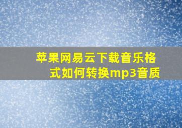 苹果网易云下载音乐格式如何转换mp3音质