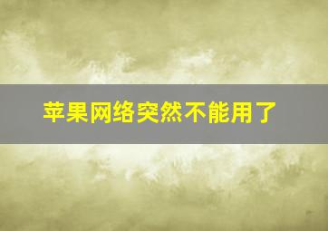 苹果网络突然不能用了