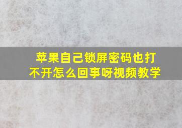 苹果自己锁屏密码也打不开怎么回事呀视频教学