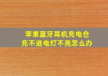 苹果蓝牙耳机充电仓充不进电灯不亮怎么办