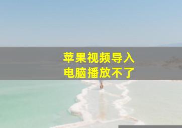 苹果视频导入电脑播放不了