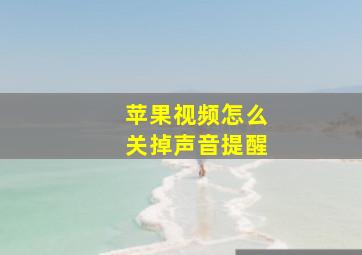 苹果视频怎么关掉声音提醒