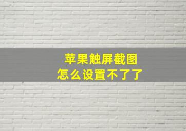 苹果触屏截图怎么设置不了了