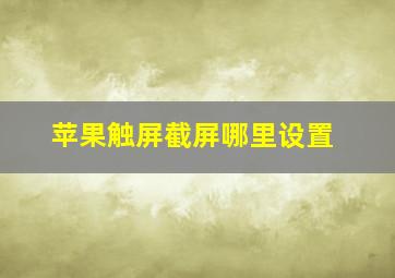 苹果触屏截屏哪里设置