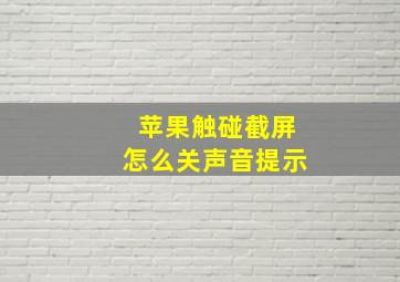 苹果触碰截屏怎么关声音提示