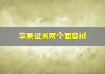 苹果设置两个面容id