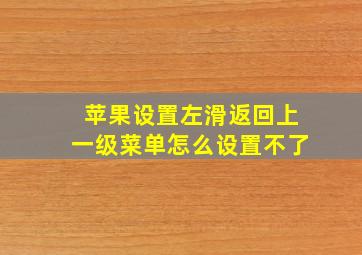 苹果设置左滑返回上一级菜单怎么设置不了