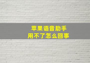 苹果语音助手用不了怎么回事