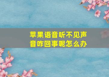 苹果语音听不见声音咋回事呢怎么办