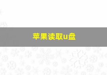 苹果读取u盘