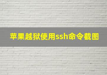 苹果越狱使用ssh命令截图