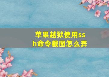 苹果越狱使用ssh命令截图怎么弄