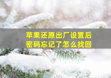 苹果还原出厂设置后密码忘记了怎么找回